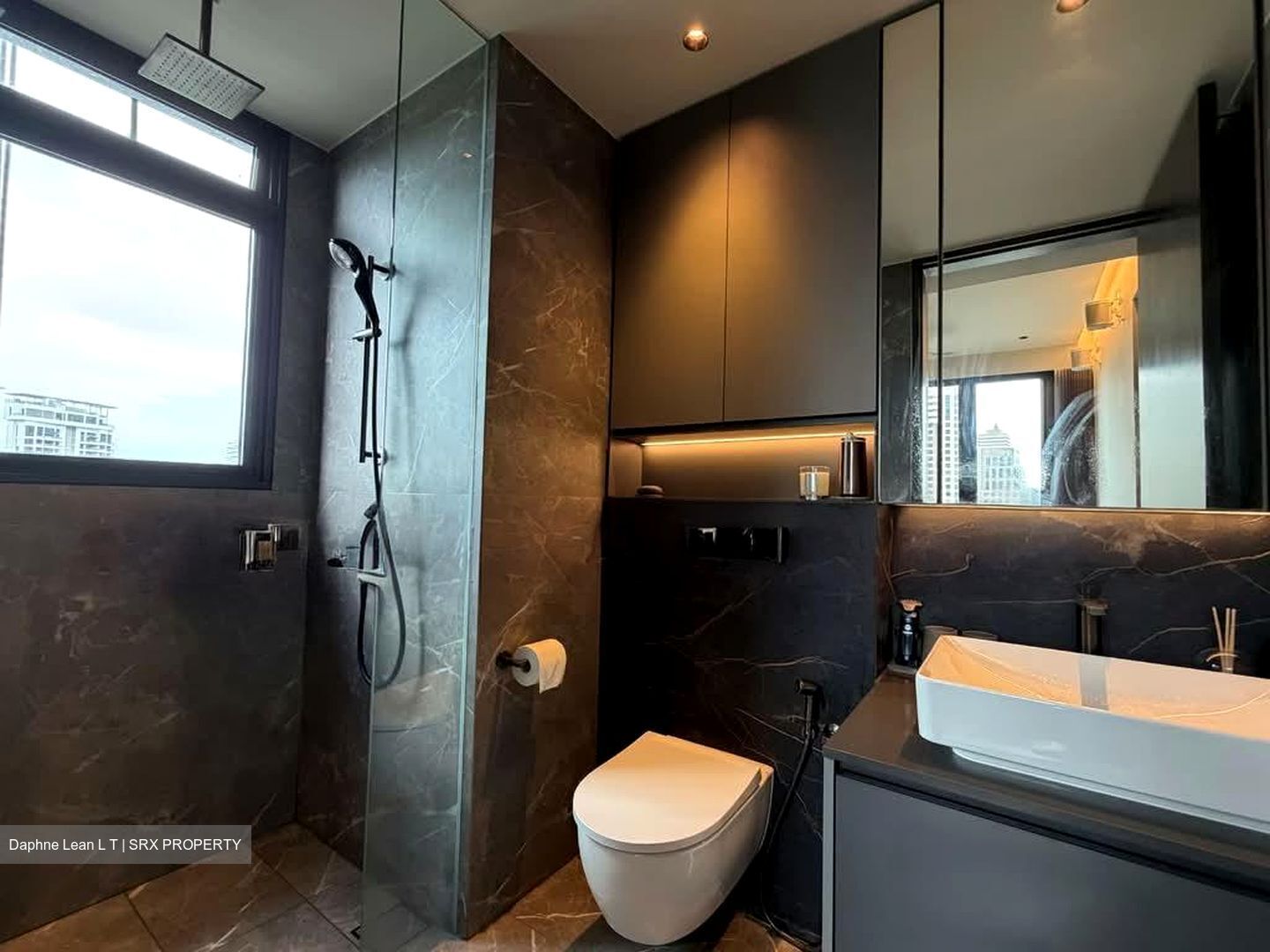 Irwell Hill Residences (D9), Apartment #560616691